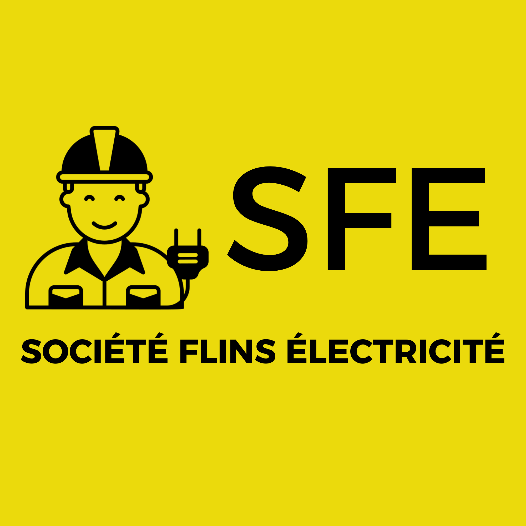 Logo Société Flins Électricité (SFE)